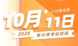 2020审计师考试时间