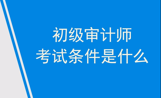 1分04秒，轻松了解初级审计师报考条件